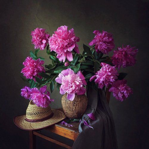 Дачный сезон пионов