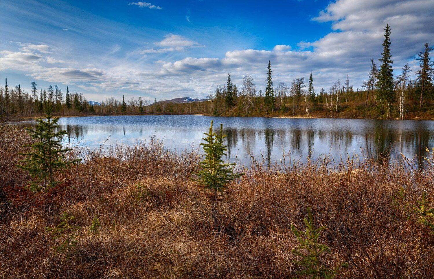, Евгений Кужилев