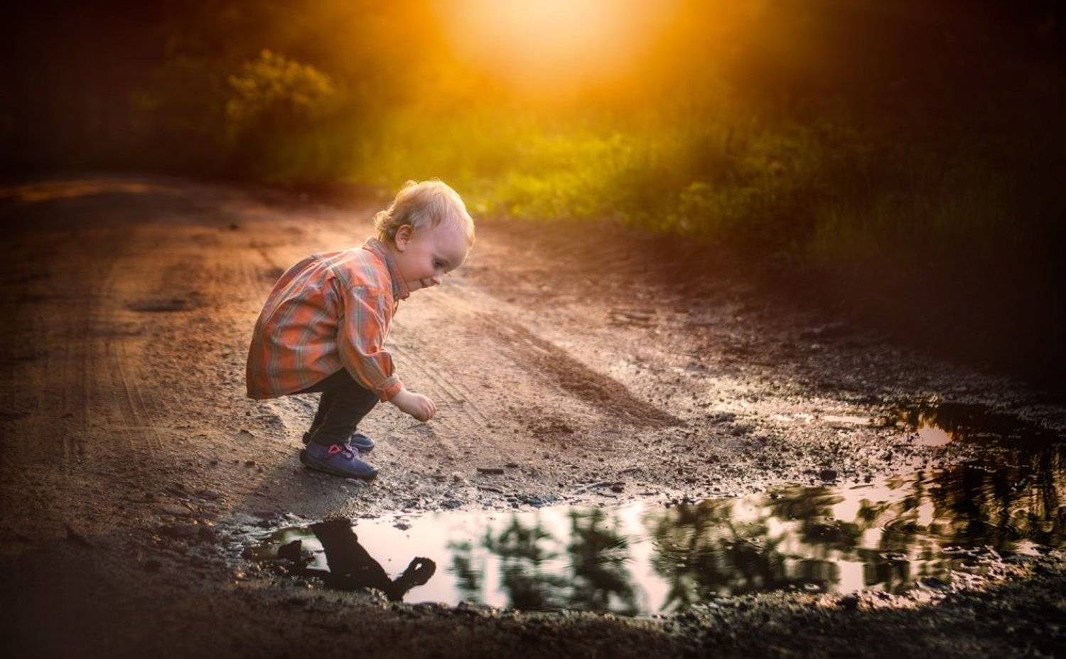 child, children, portrait, boy, nature, grass, meadow, flowers, sun, Milosz_G