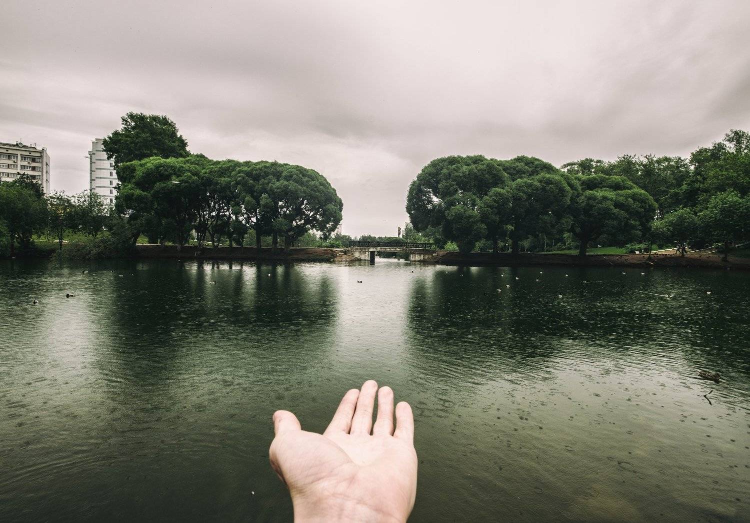 дождь,ладонь,киров,вятка, Карепанов Евгений