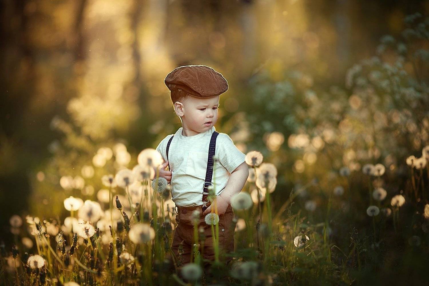 одуванчики лето мальчик, Irina Muksimova