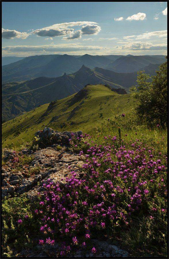 , Владимир Метцгер