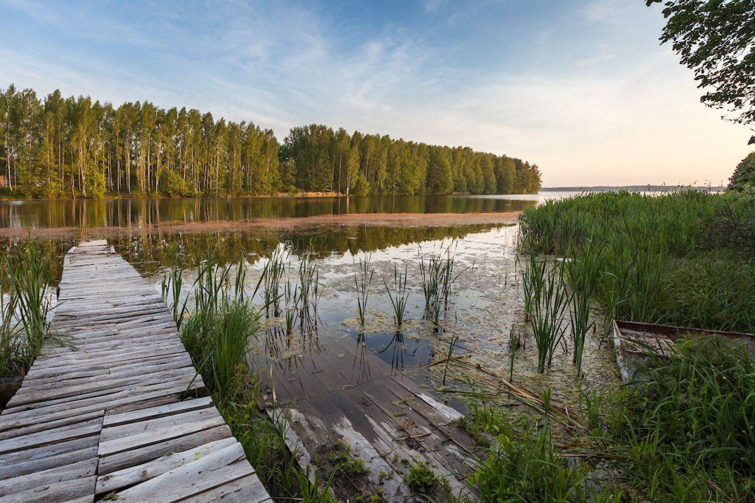 , slanec (Игорь Иванов)