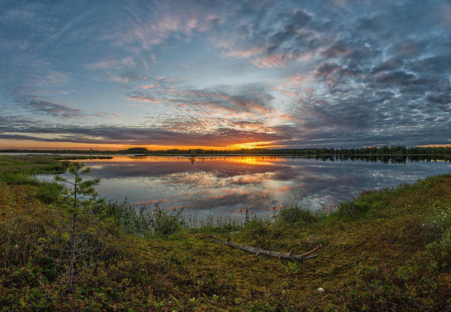 , Олег Авдеев