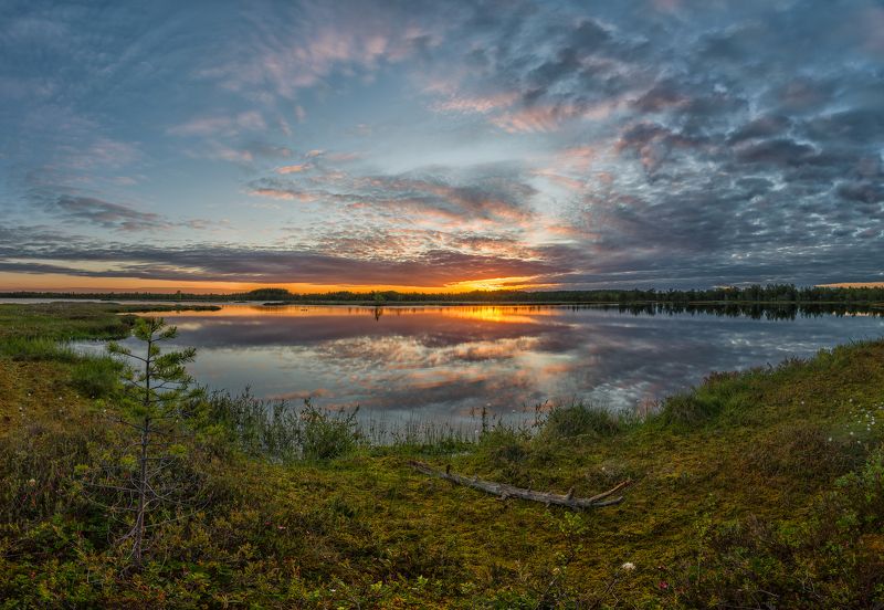 *** фото превью