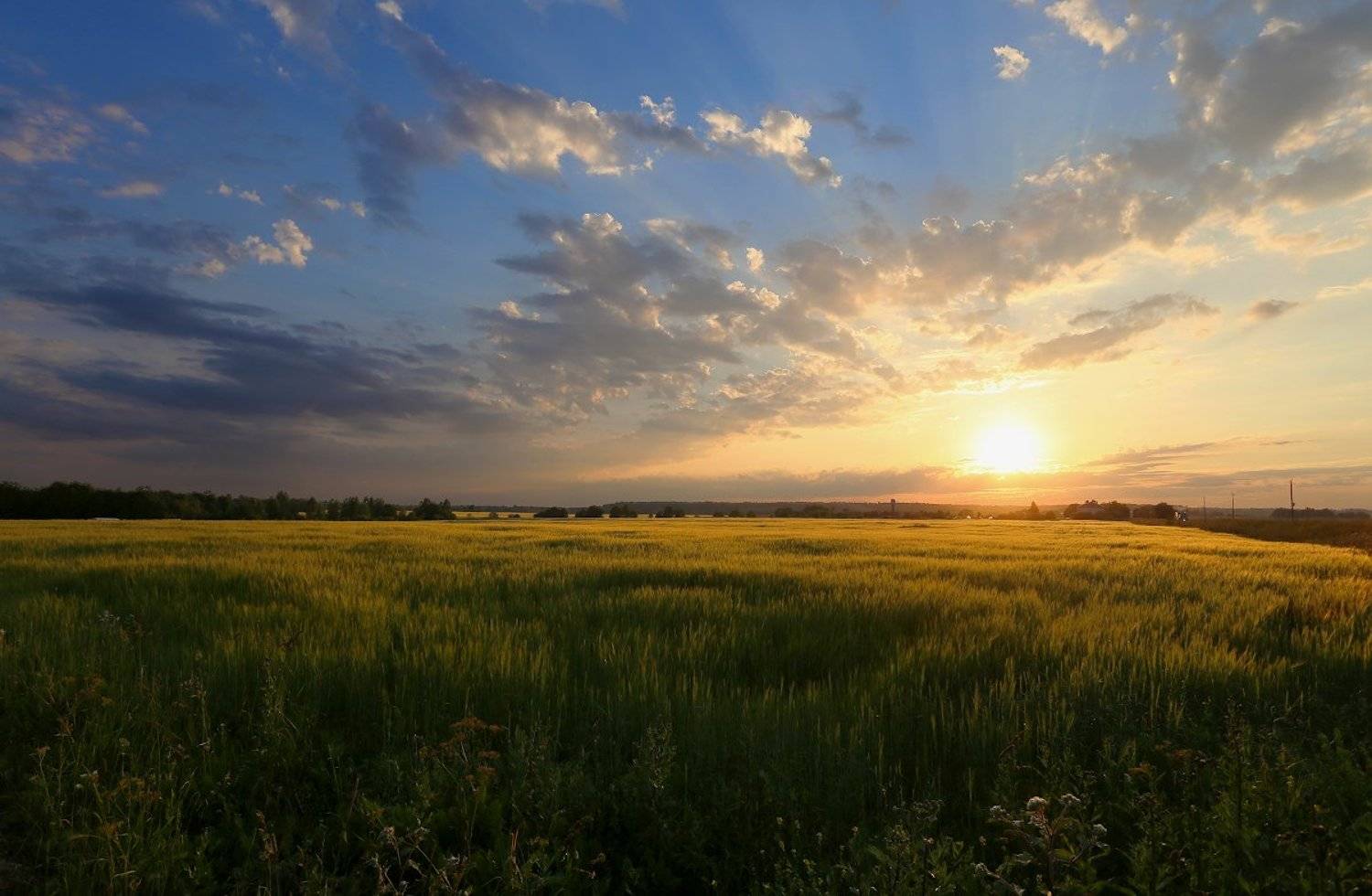 , Александр Нагибин
