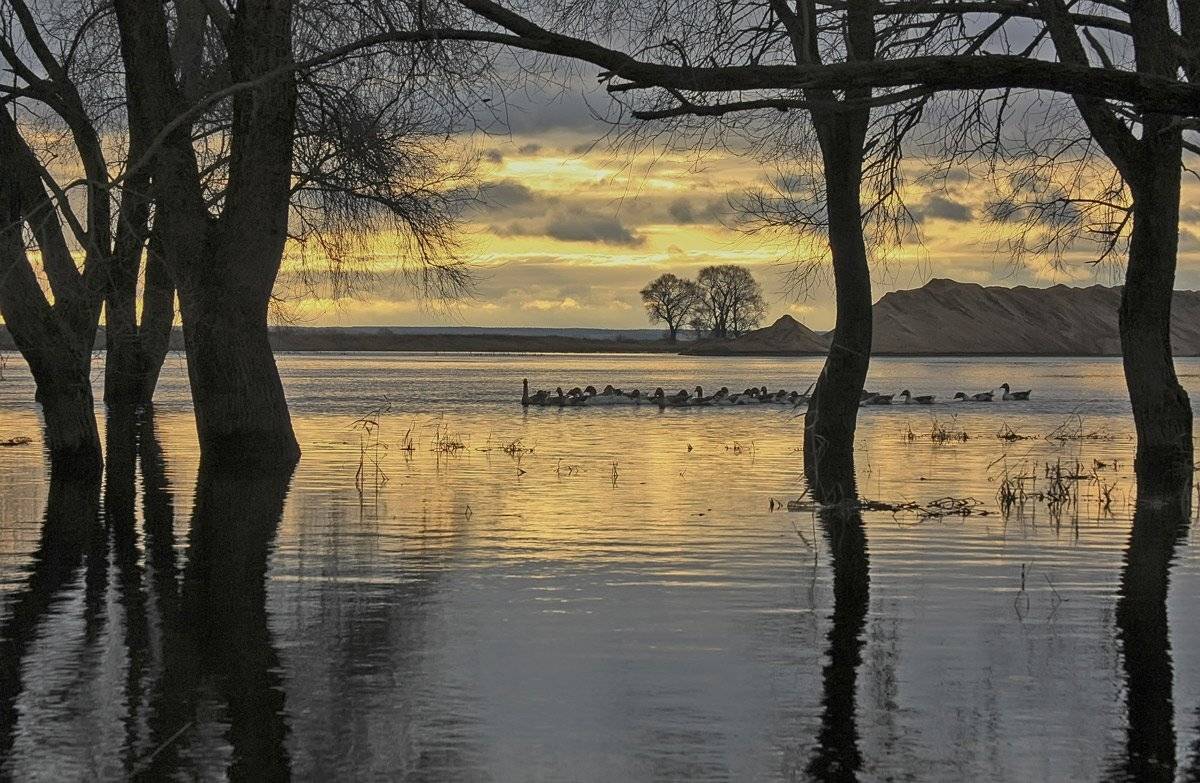 , Валерий Кондратов