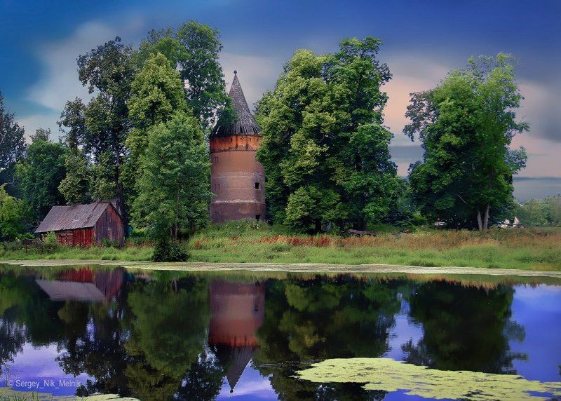 беларусь, замок, дворец, архитектура Замок в кустах фото превью