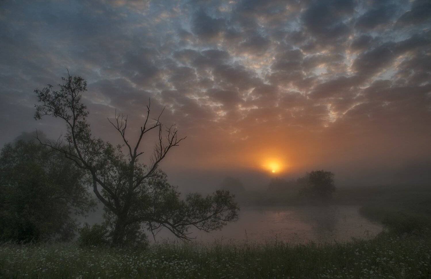 , Володимир Карчевський