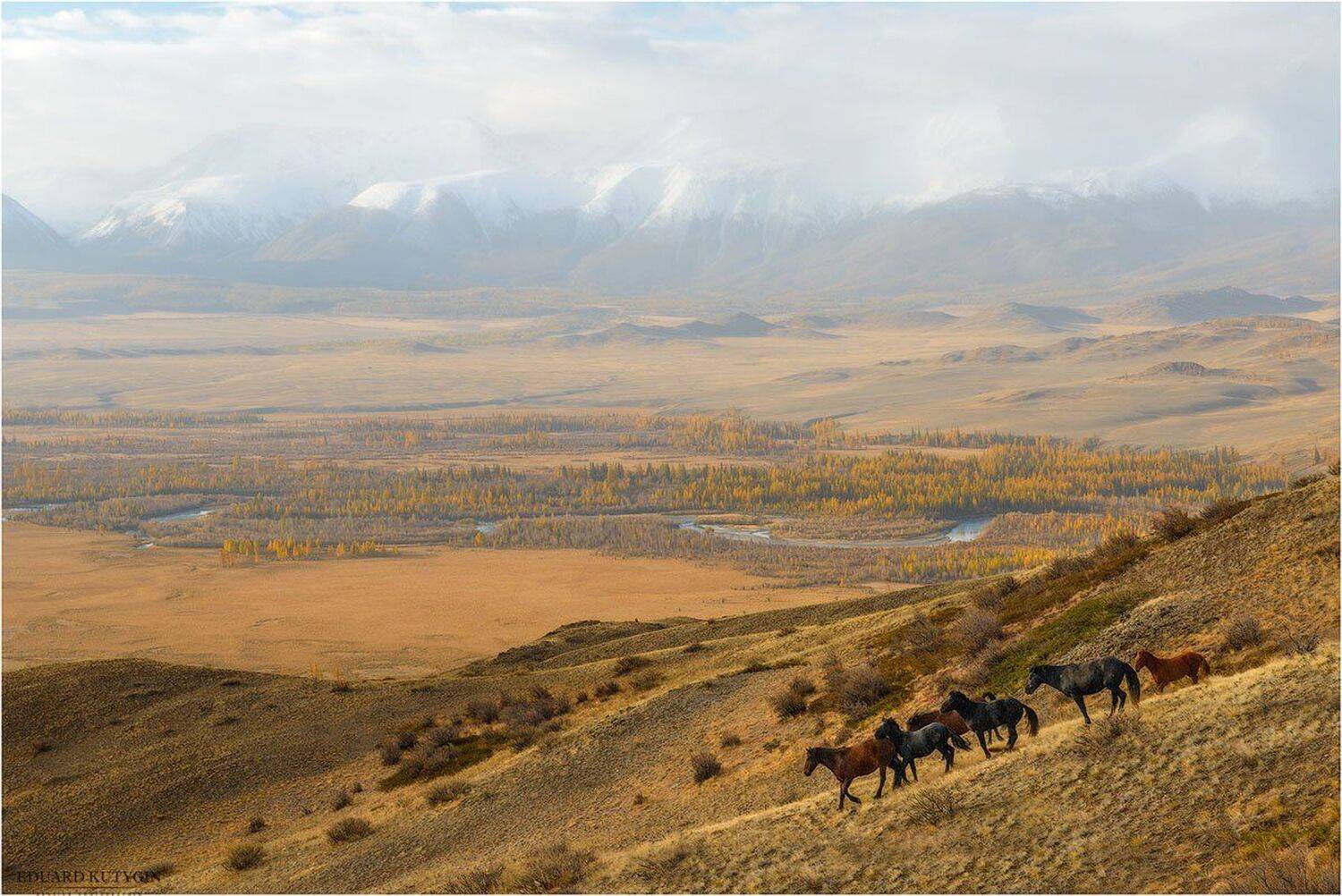 , Кутыгин Эдуард