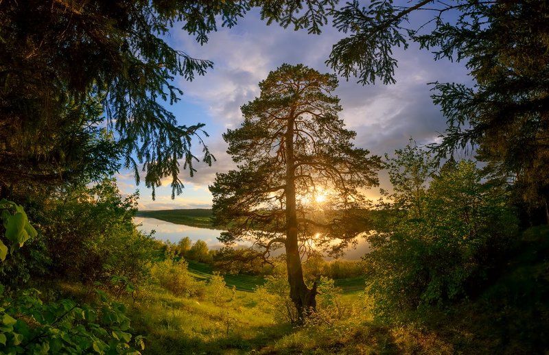 На берегу Оки фото превью