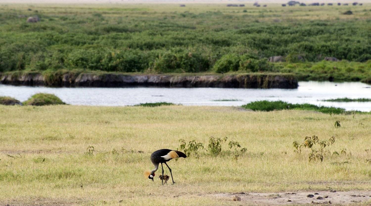 , Марина Мудрова