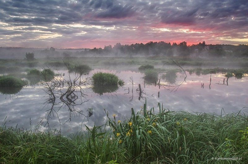 Colors of the morning фото превью