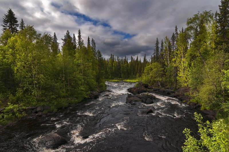 Кольский север Прогулка по лесу фото превью