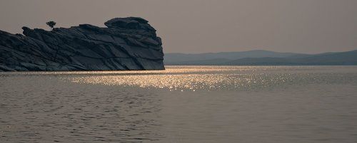 Легендарное дерево