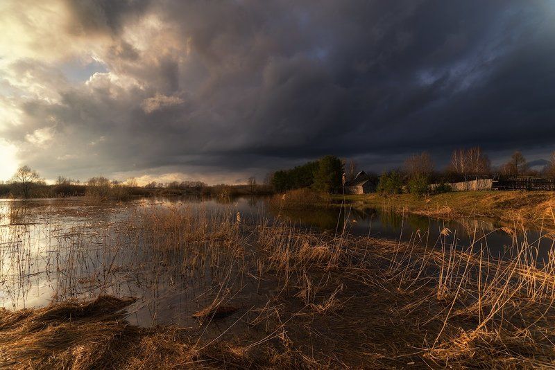 Предгрозовое... фото превью