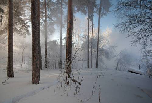 Зимнее утро