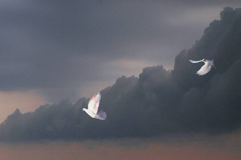 Не уходи! Побудь с мною... фото превью