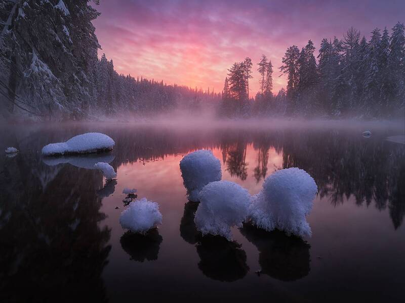 Обитатели озера Теплое фото превью