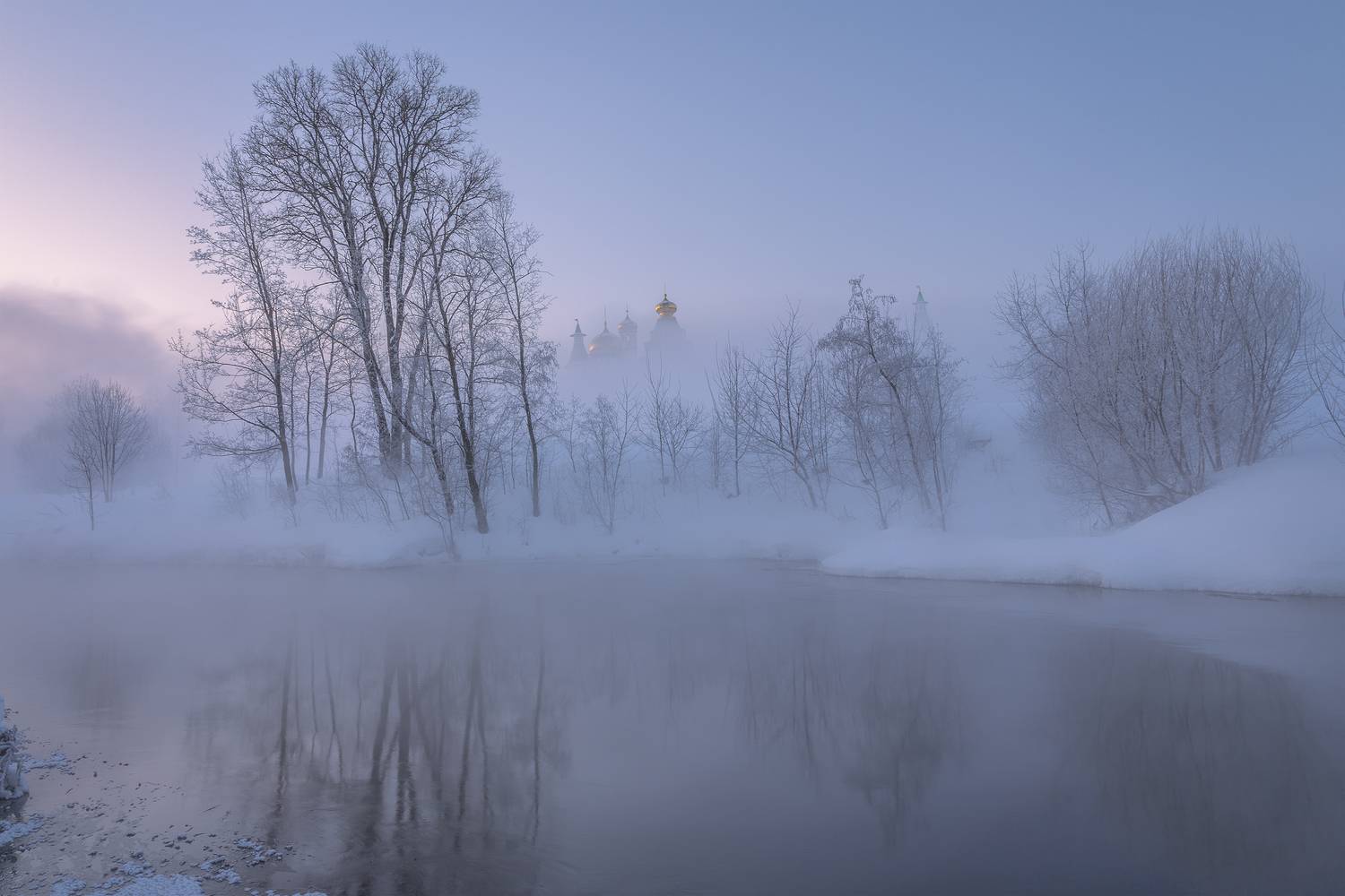 Истра, Гусева Елена