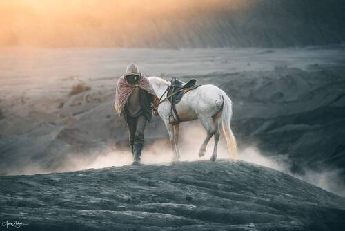 Horse Rider