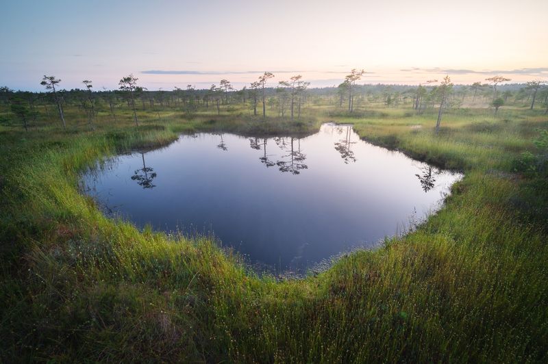 Портал фото превью