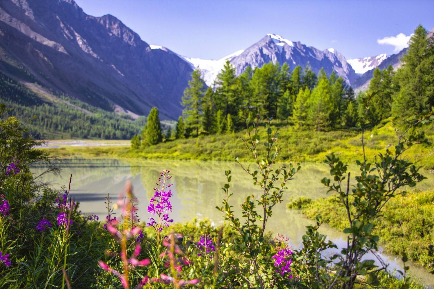 , Владимир Каверин