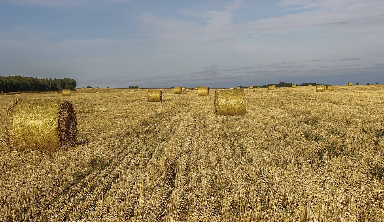 , Михаил Измайлов