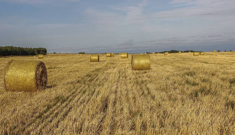 Поле фото превью
