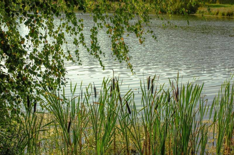 Озеро фото превью