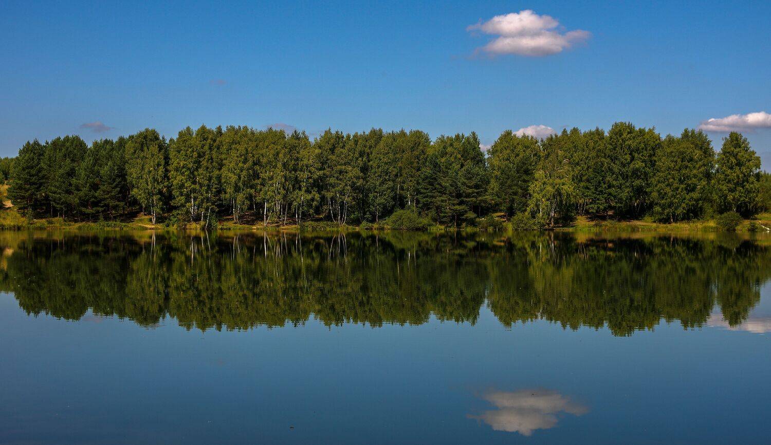 , Михаил Измайлов