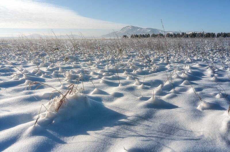 Звенящая морозная тишина… Ringing frosty silence... фото превью
