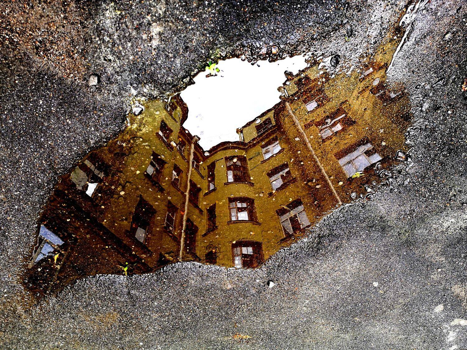 , Антон Лаба