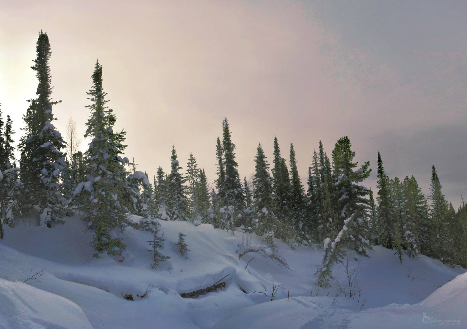 , Крат Светлана