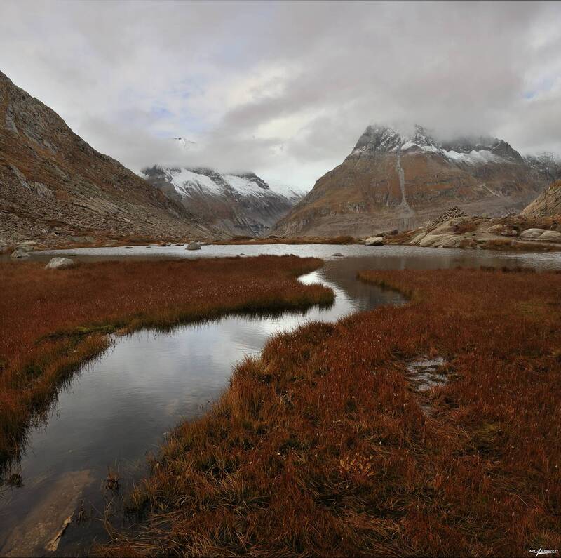 swiss Осень на болоте.. фото превью