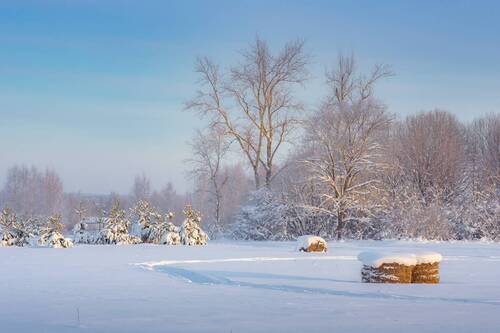 Тихое зимнее утро