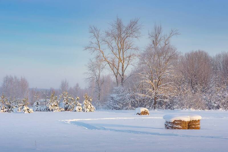 Тихое зимнее утро фото превью