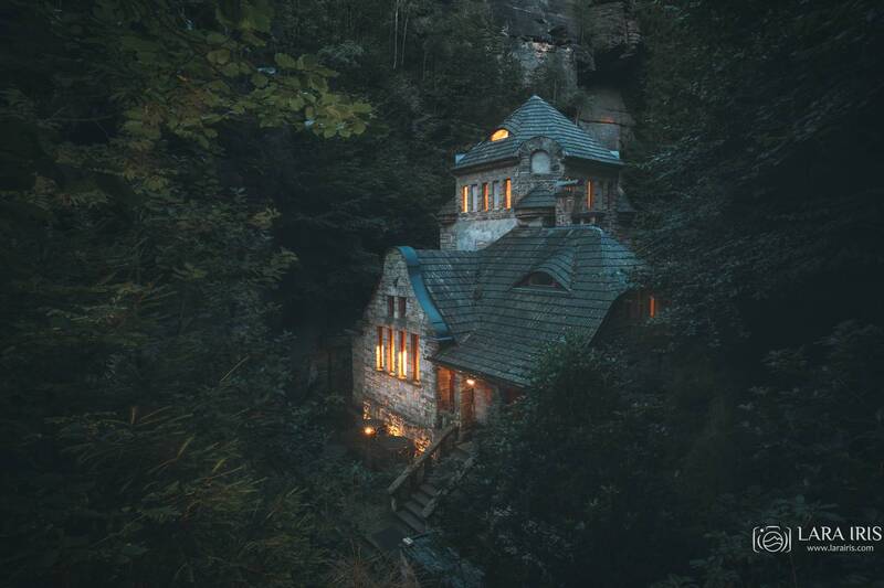 Под пологом леса фото превью