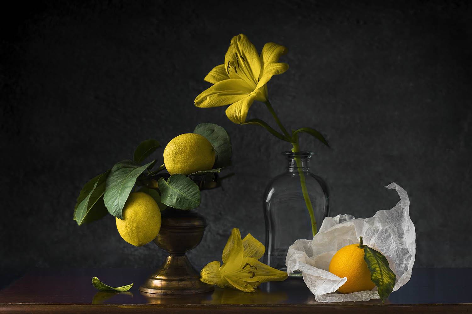 , Солодар Виктория