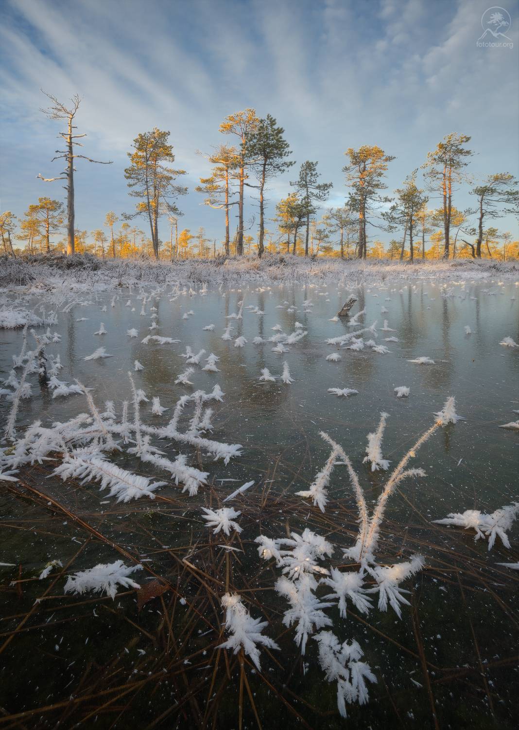 болото, фототур по болотам, ленобласть, Гордиенко Анатолий