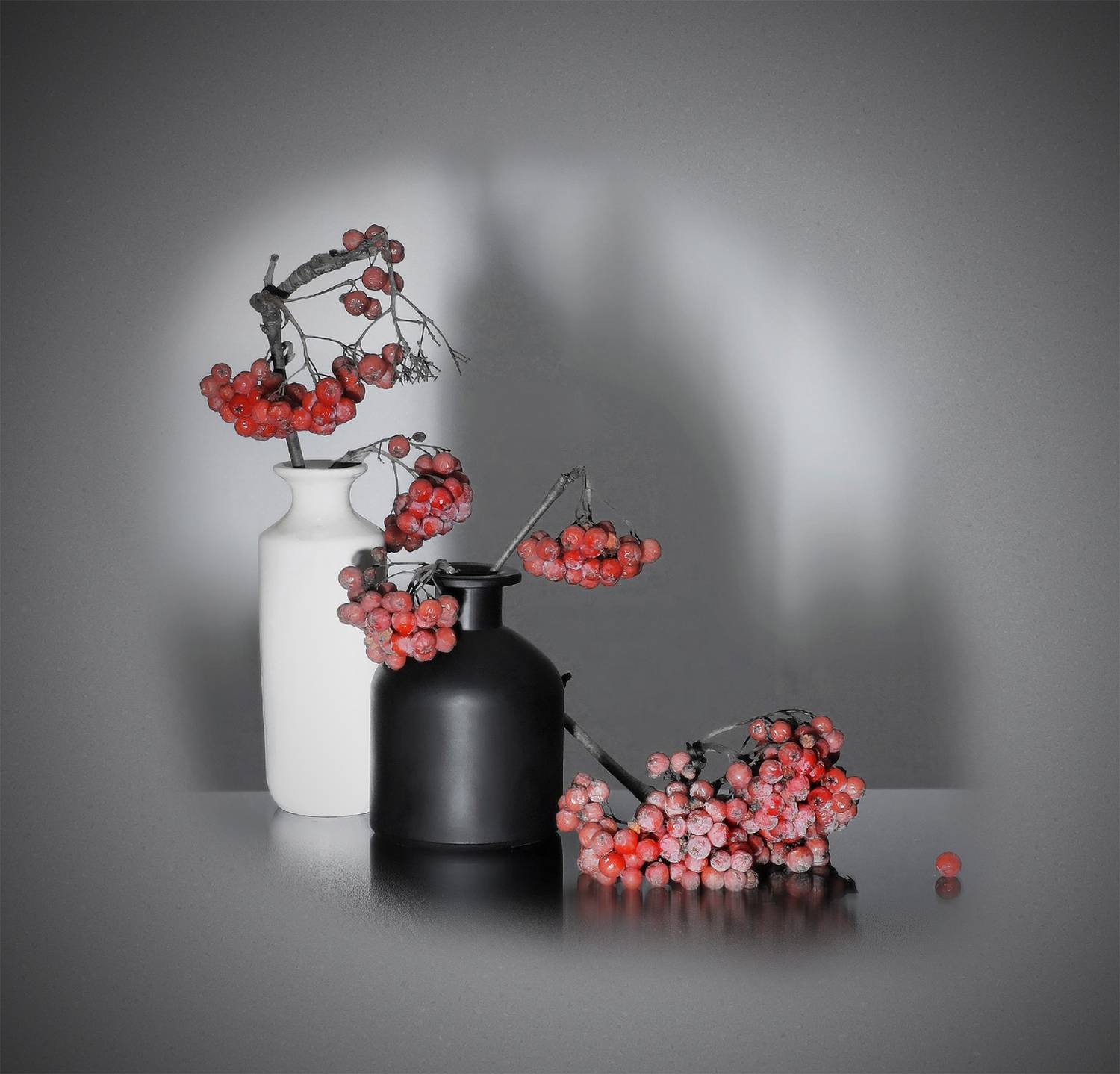 , Заболотская Ольга