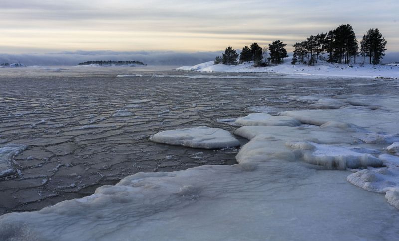----- фото превью