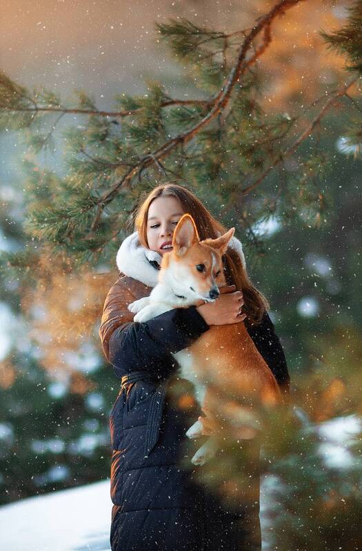 фото превью