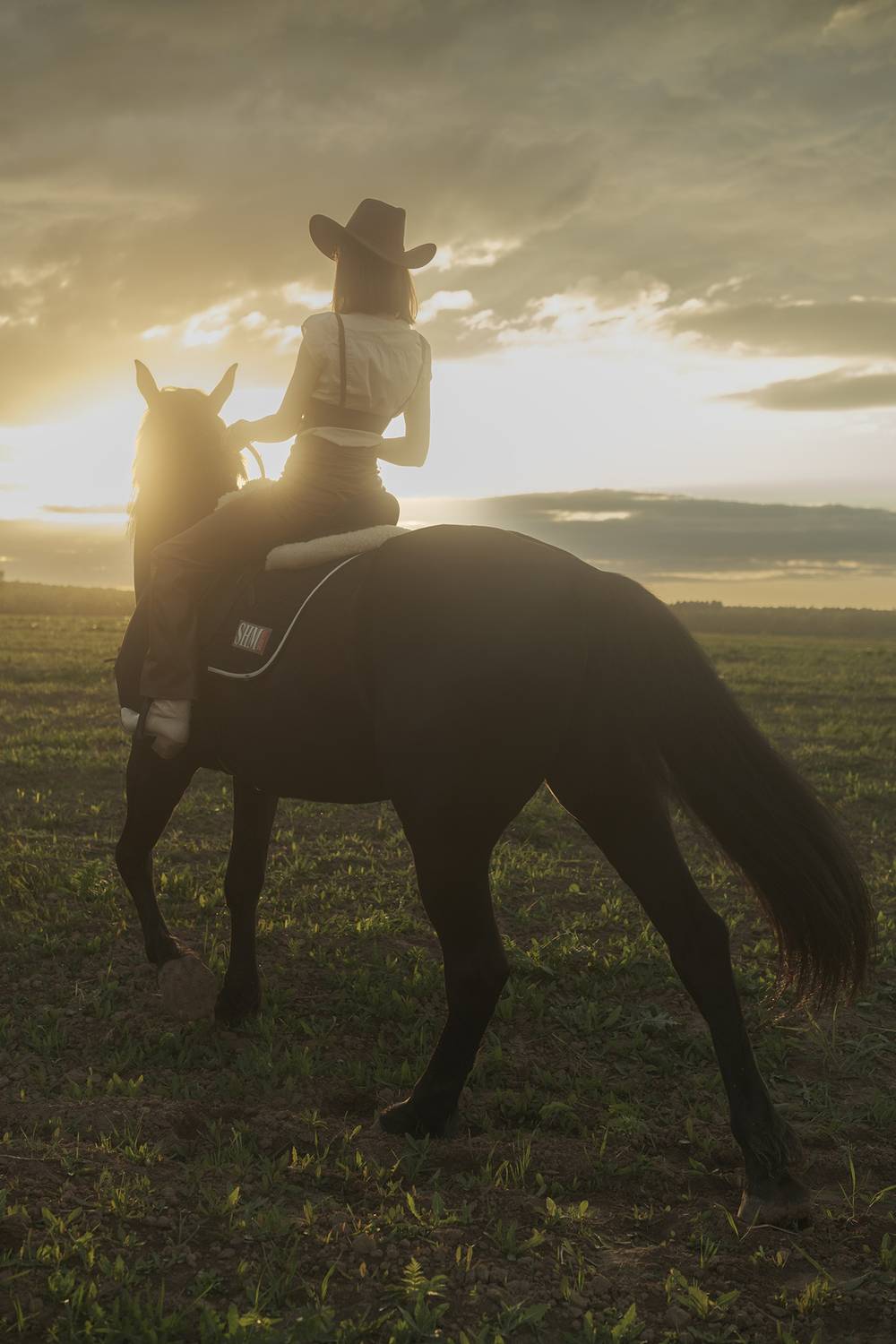 , Денисов Александр