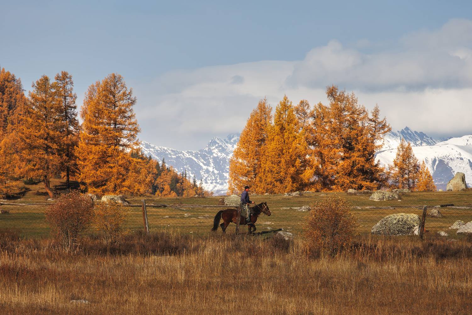 , Морозов Сергей