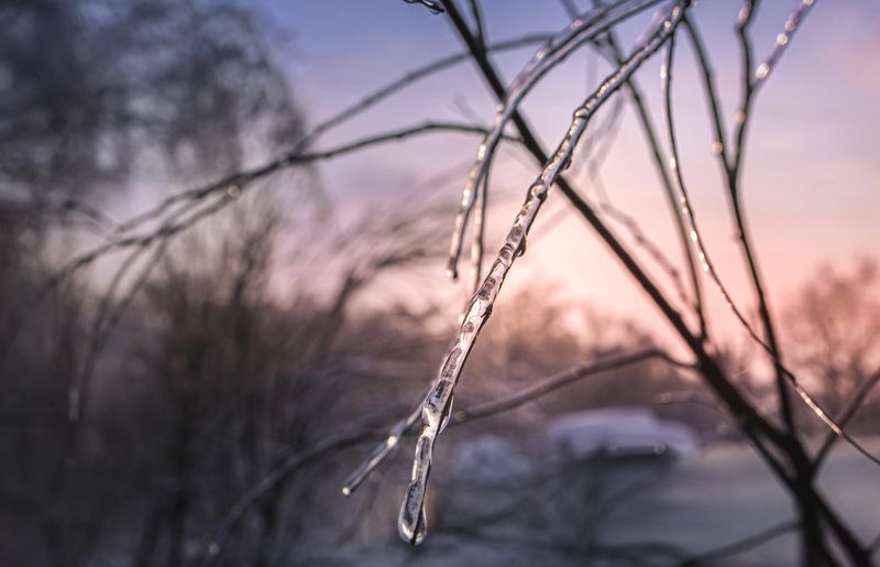 Московская обл. Ледяной дождь... фото превью