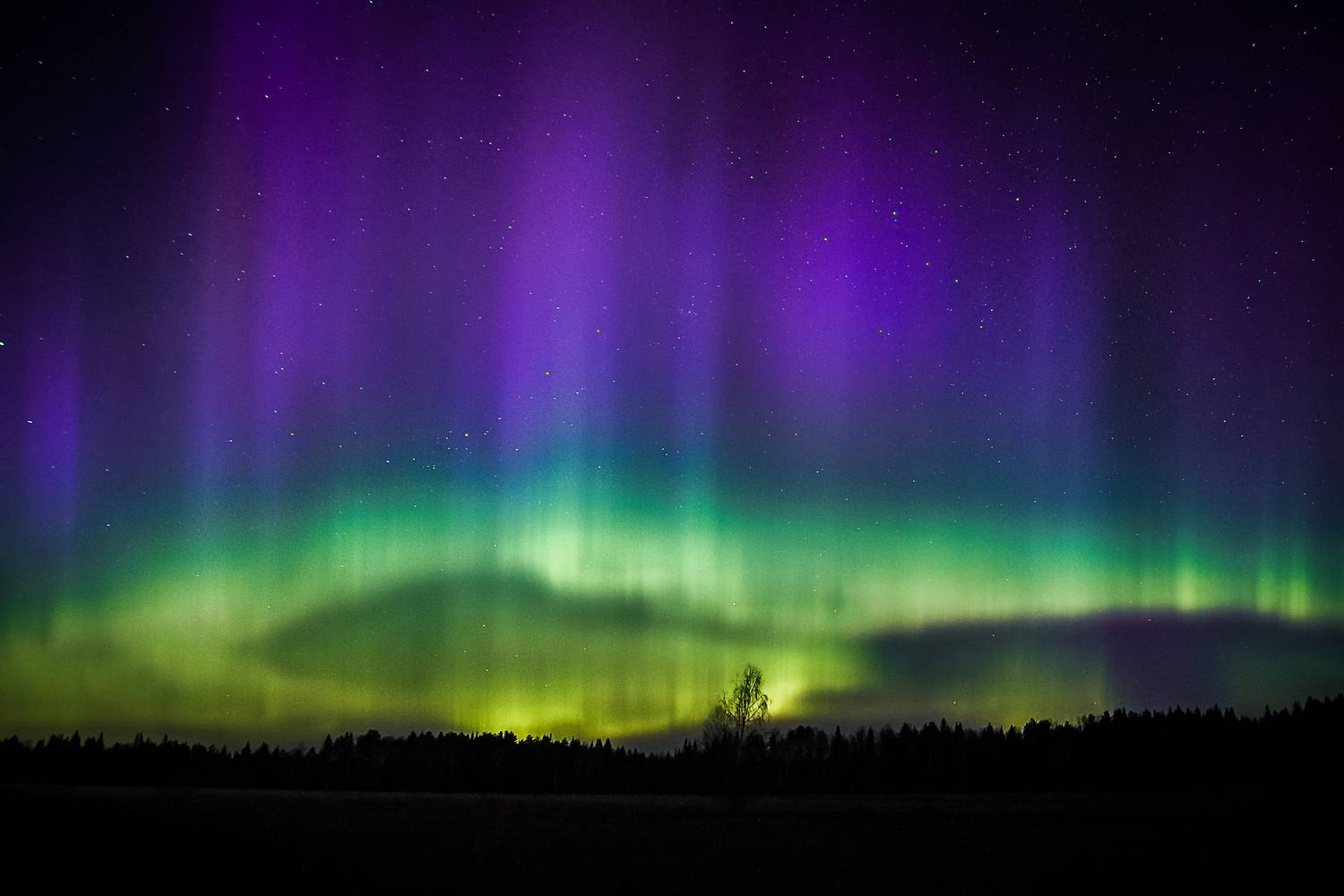 , Светлана Москаленко