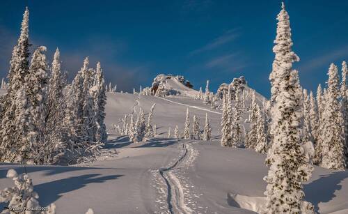 Дорога к дому