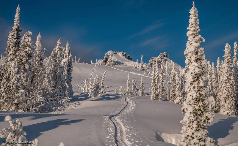 ски-тур, скитур, шерегеш, скалы, снег, иней, надувы, пихты, кедры, гора курган, горная шория, мороз, зима, сибирь Дорога к дому фото превью