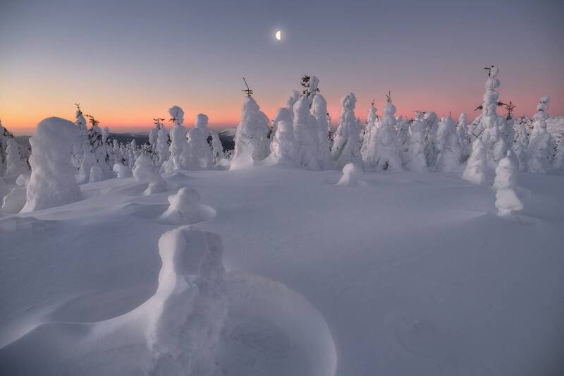 Морозным утром фото превью